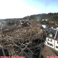 17_45-nest.jpg