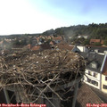 17_55-nest.jpg