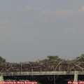 18_00-mast.jpg