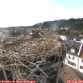 18_00-nest.jpg