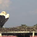 18_20-mast.jpg