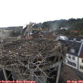 18_50-nest.jpg