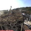 19_05-nest.jpg