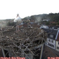 19_15-nest.jpg