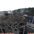 19_20-nest.jpg
