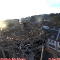 20_00-nest.jpg