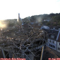 20_05-nest.jpg
