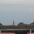 20_35-mast.jpg