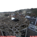 20_40-nest.jpg