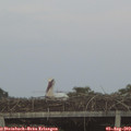 20_45-mast.jpg