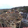 06_10-nest.jpg