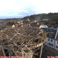 06_20-nest.jpg