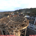 06_25-nest.jpg