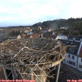 06_30-nest.jpg
