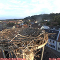 06_35-nest.jpg