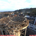 06_40-nest.jpg