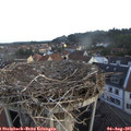 06_50-nest.jpg