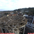 07_00-nest.jpg