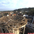 07_05-nest.jpg