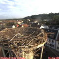 07_10-nest.jpg