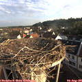 07_15-nest.jpg