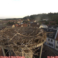07_20-nest.jpg