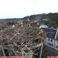07_30-nest.jpg