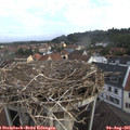 07_35-nest.jpg