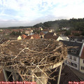 07_40-nest.jpg