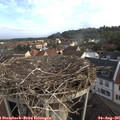 07_45-nest.jpg