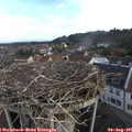 07_55-nest.jpg