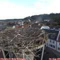08_00-nest.jpg