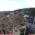 08_05-nest.jpg