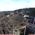 08_10-nest.jpg
