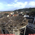 08_15-nest.jpg
