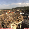 08_30-nest.jpg