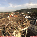 08_35-nest.jpg