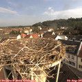 08_45-nest.jpg