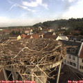 08_55-nest.jpg