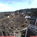 09_05-nest.jpg