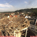 09_10-nest.jpg