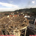 09_15-nest.jpg