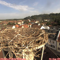 09_20-nest.jpg
