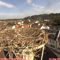 09_30-nest.jpg