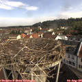 09_35-nest.jpg