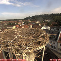 09_40-nest.jpg