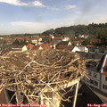 09_45-nest.jpg