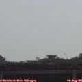 09_50-mast.jpg