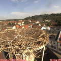 09_50-nest.jpg