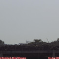 09_55-mast.jpg